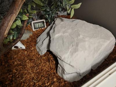 Large snake hide with plant attachment