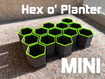 Hex o' Planter