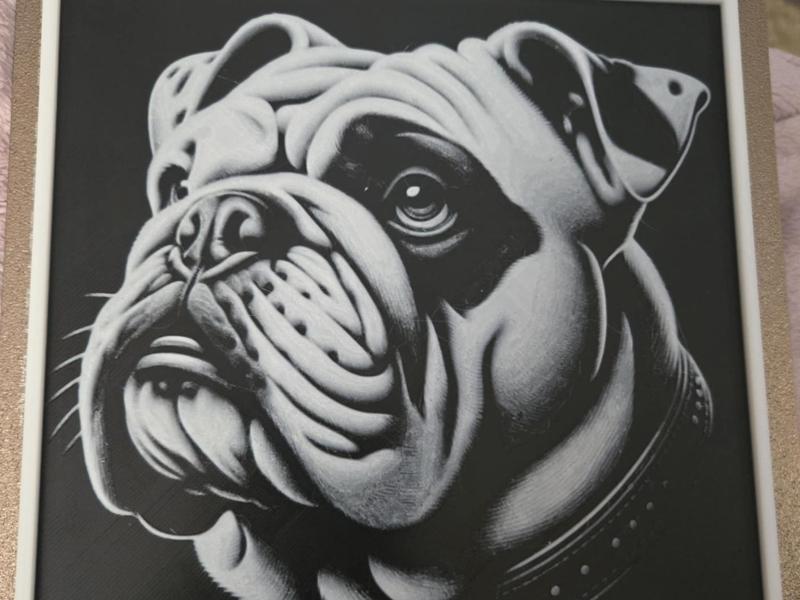 Bulldog