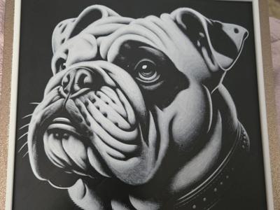 Bulldog