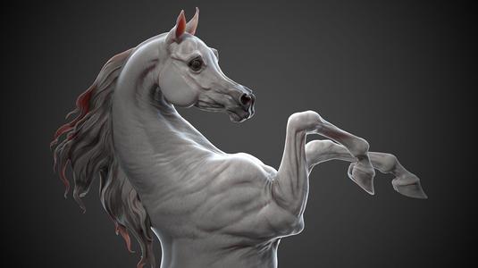 Rearing Arabian horse - 3D Sculpting
