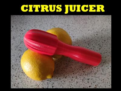 Citrus Juicer 