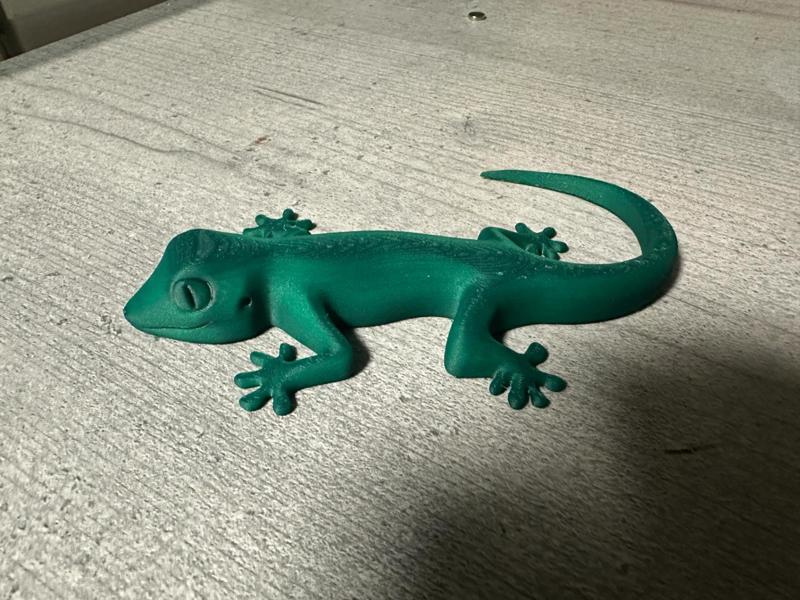 Gecko Magnet Refrigerator