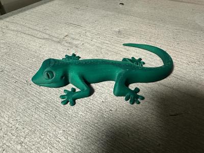 Gecko Magnet Refrigerator