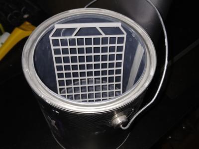 Paint grid for gallon can