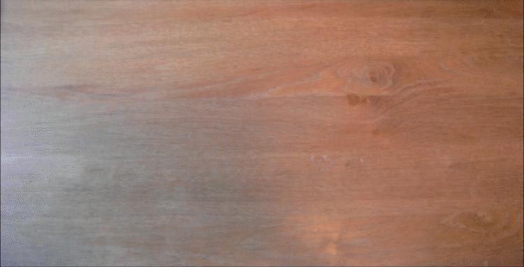ruffed lizard