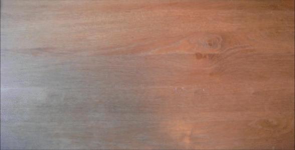 ruffed lizard