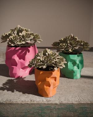 Low poly Skull Planter 3D Print Stl File | Stl File For 3D Printers | 3D Home Decor - Digital Download