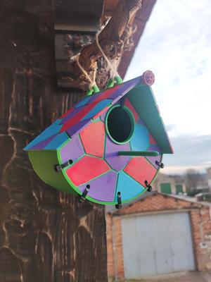 Pájaro House