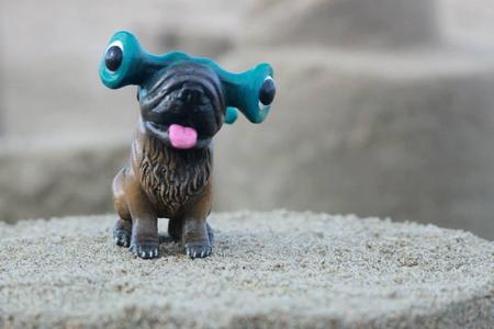 Bark Shark