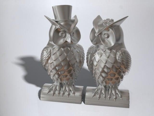 His and Her Owls