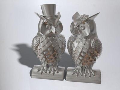 His and Her Owls