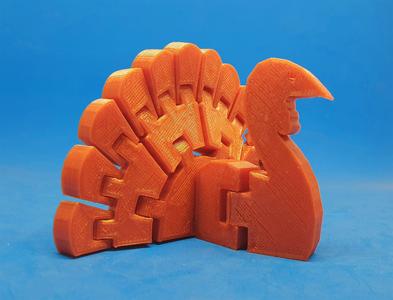 Flexi Turkey
