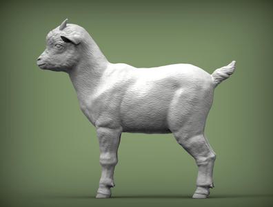 goatling goat