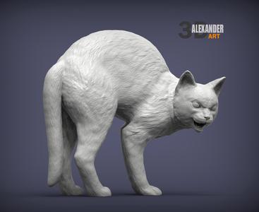 aggressive cat