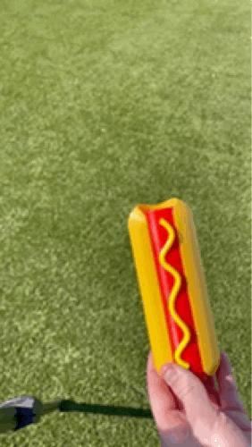 Collapsible Sword Hot Dog - Extendable Sword