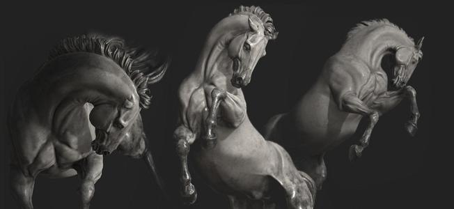Horse - 3D Sculpting - High Poly