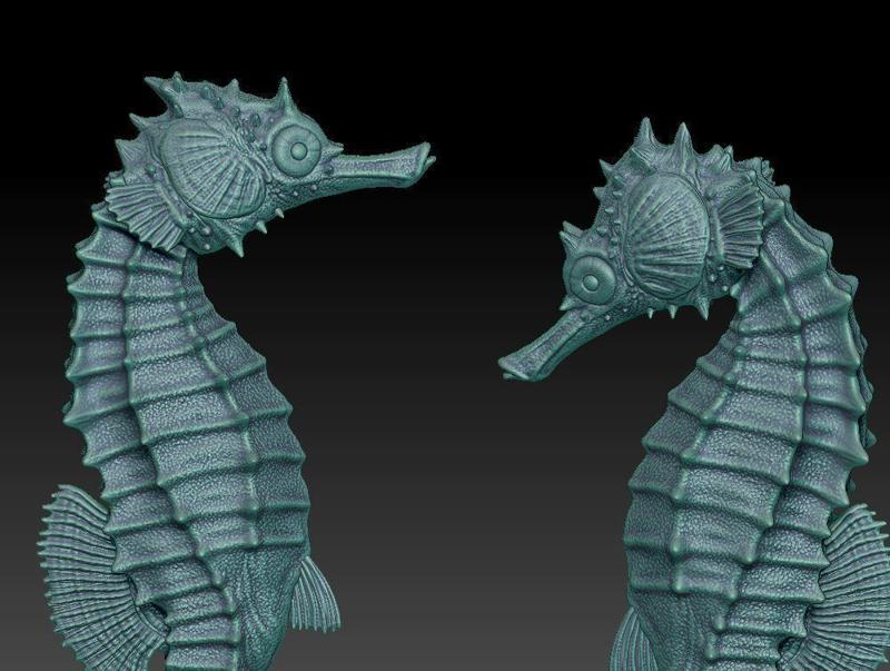 two seahorses