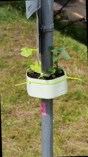 BIN Planter S v7