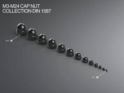 M3-M24 Cap Nut Collection DIN 1578