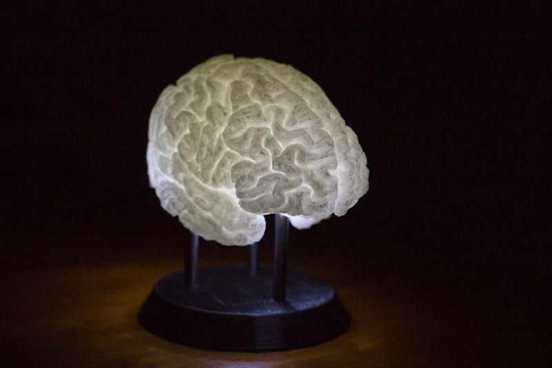 LED-Lit Brain