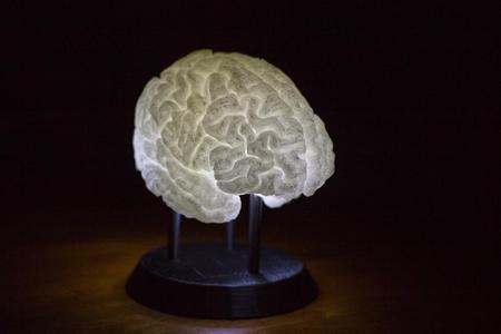 LED-Lit Brain