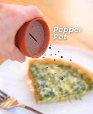 Spikey Spices - Cactus Salt and Pepper Shaker