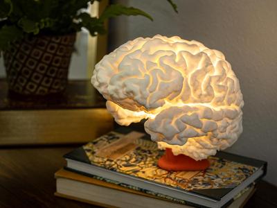 Brain Lamp - Accurate & Life-Size