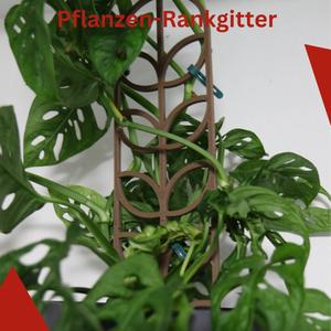 Modular Plant Grid