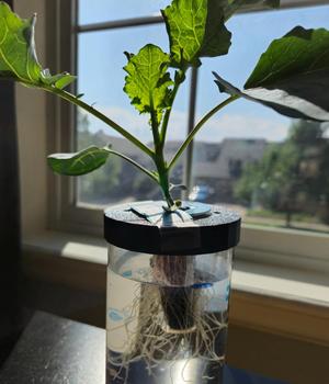 Hydroponics Net Cup 3in Bottle Adapter