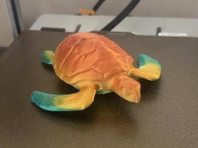Turtle - public