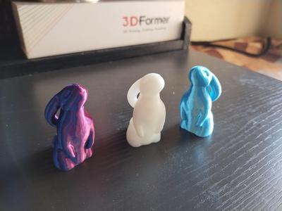 Curious Bunny