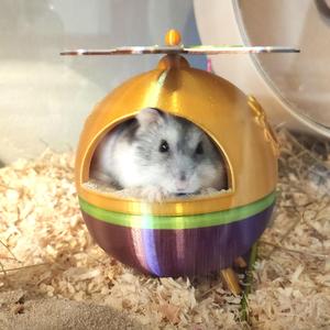 Hamster Sandbath "Sandy Swirl"