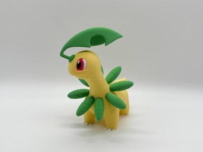 Bayleef Multicolor