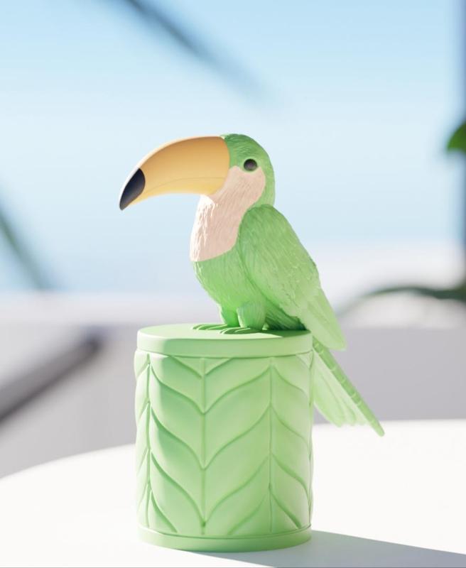 Tropical Toucan Jewelry Box - Unique Stylish Storage Solution