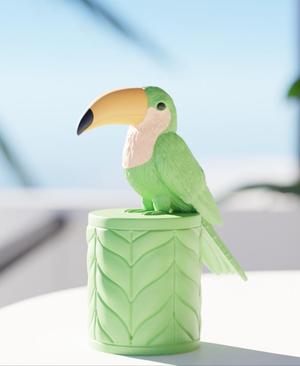 Tropical Toucan Jewelry Box - Unique Stylish Storage Solution