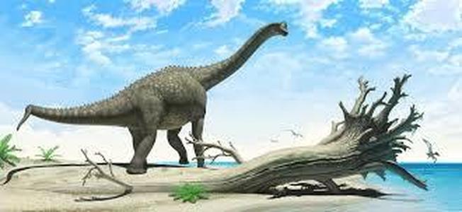 europasaurus
