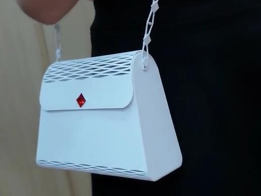 Small handbag or purse with chain