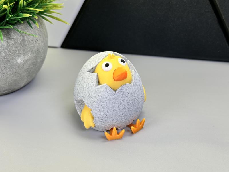 Little Chick Looking Out Of Egg