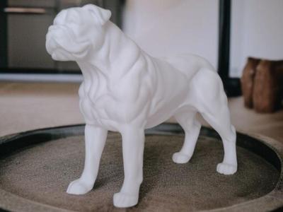 American Bulldog Sculpture, Statue, Dog Figure