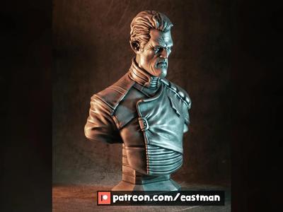 Admiral Gord bust (STL)   
