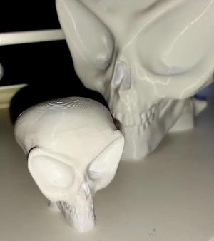 Alien Skull Bust   