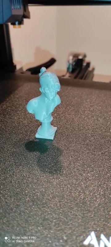 Normal Sappoh bust   