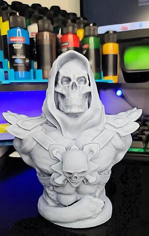 Skeletor Bust High Def Pre Supported Lychee Pro   