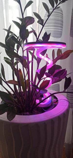 Vollspektrum-LED-Pflanzenleuchte / Full Spectrum LED Plant Light