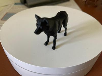 Border Collie