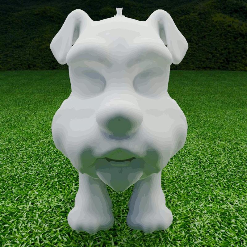 Dog   
