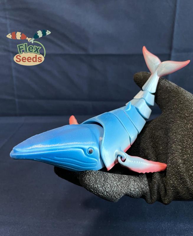 Flexi Humpback Whale (print-in-place)