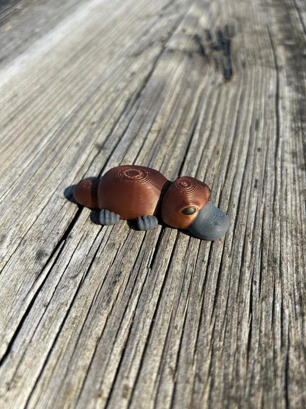 Platypus Single Joint Fidget