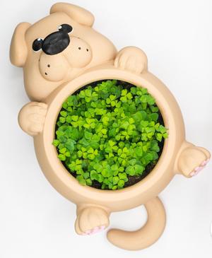Chunky Dog Plant Pot